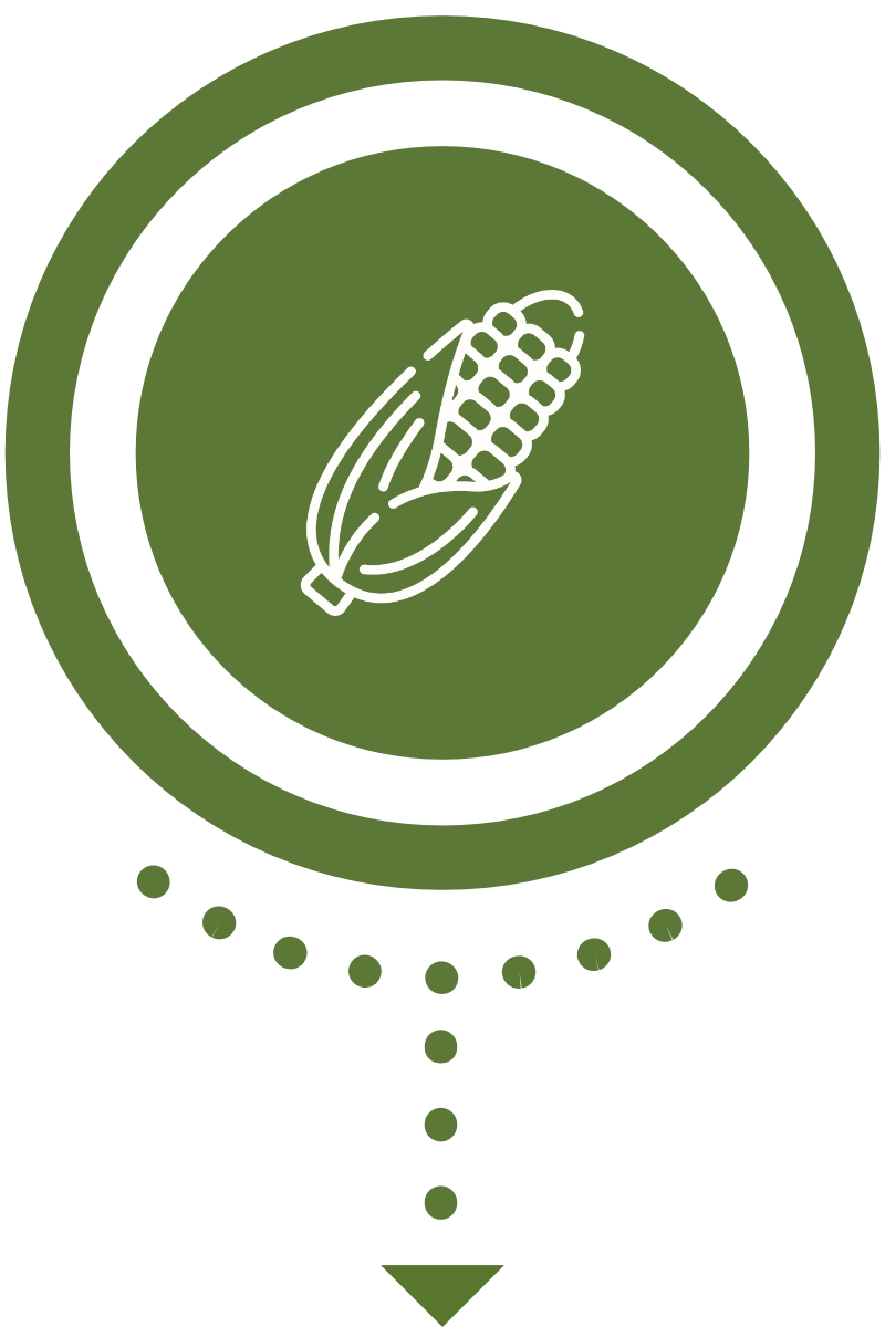 Ital Progress: il processo 01: recupero scarti produzione agricola