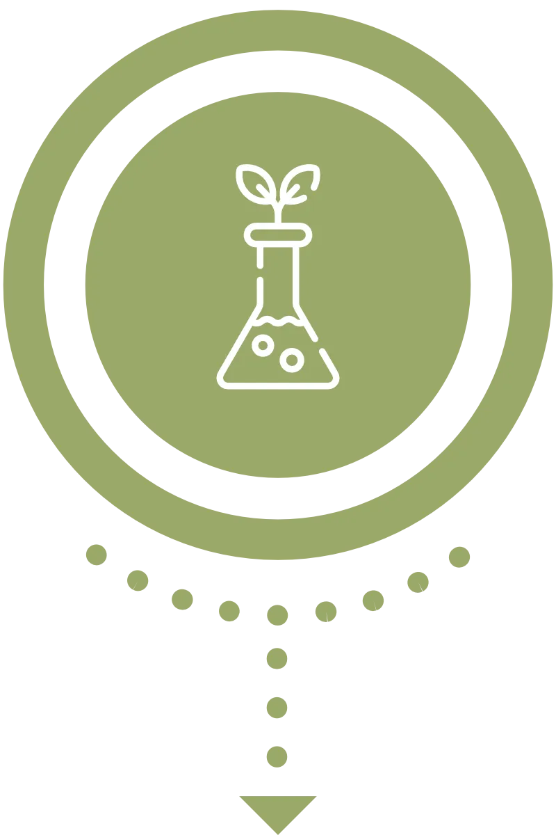 Produzione di etanolo biologico